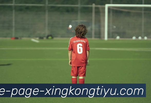 星空体育服务体系